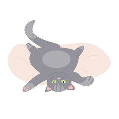 Relaxed lazy cat on soft small bed. Lying on back kitten, home furry pet cartoon vector illustration