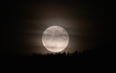 full moon coming up above the forest and hiding in a bit of clouds