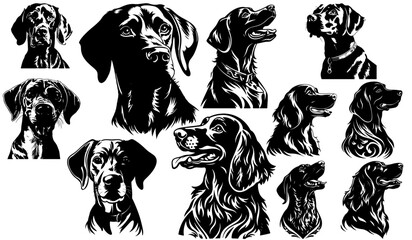 vector set of happy vizsla dog heads