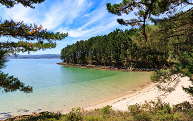 Playa Rego Dos Coiros, Camari&ntilde;as