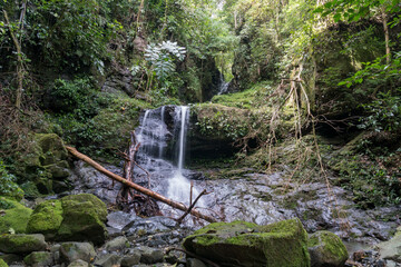 Cascadas Alto de Piedra en Panamá  © crist.cort