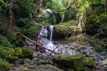 Cascadas Alto de Piedra en Panamá 