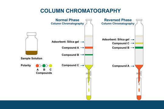 Illustration of Normal Phase and Reversed-Phase Column Chromatography. Column chromatography isolates pure compounds from a mixture sample solution used in the chemistry lab or scientific research.