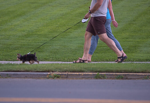 Two people walk their dog on a grass-lined sidewalk. The walkers are in in symmetry with their stride as the little dog on a leash dashes ahead.