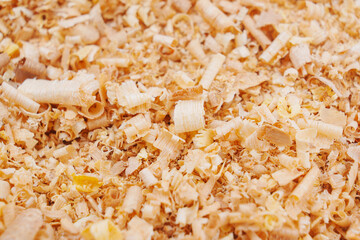 sawdust and shavings. material for agriculture. mulch 