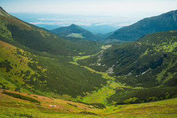 Fototapeta premium High Tatras Beauty: Embracing the natural splendor of the Belianske Tatras' grassy crest, with a sweeping panorama of the lush valley below