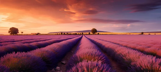 Gordijnen Breathtaking nature landscape. Panoramic lavender meadow fields in Provence Valensole, France. Wonderful scene, amazing summer landscape of blooming lavender flowers, peaceful sunset view, agriculture © MOUNSSIF