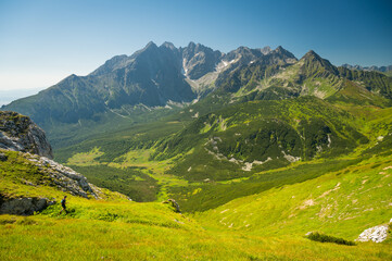 Alpine panorama capturing the High Tatras as seen from the Belianske Tatras, with the landscape adorned in rich green hues and a cloudless sky