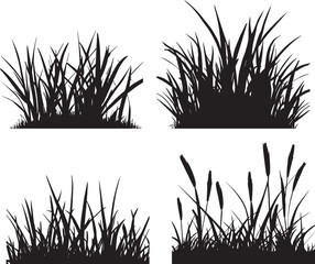 Jungle Grass Vector silhouette illustration black color