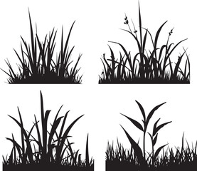 Jungle Grass Vector silhouette illustration black color