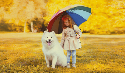 Happy little girl kid holds umbrella walking with white Samoyed dog in sunny autumn park