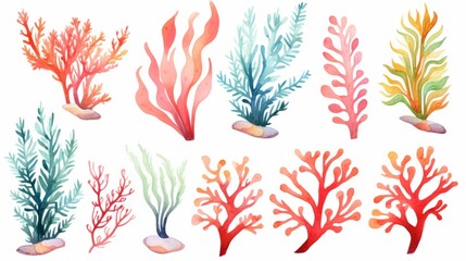 Fototapeta na wymiar vibrant watercolor seaweed and corals in a mesmerizing underwater scene