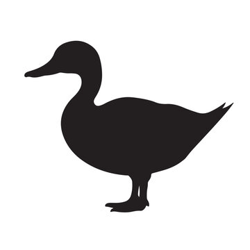 duck silhouette