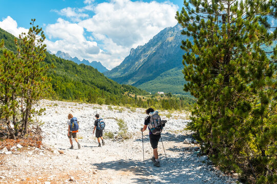 Hikers walking on the Valbona Valley trail alongside trees, Theth National Park, Albanian Alps, Albania