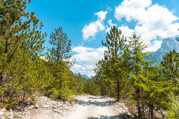 Fototapeta na wymiar Trail in the Valbona valley trekking to Theth, Theth national park, Albanian Alps, Valbona Albania