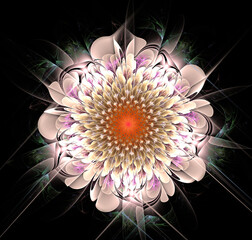 3D illustration. Fractal. White macro flower on a black background. Graphic element, background, texture for web design.