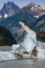 Odd Shaped Iceberg, Shakes Lake