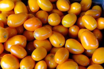 Orange Tomatoes