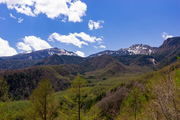 残雪の硫黄岳・天狗岳とカラマツ林の芽吹き