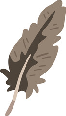 Fototapeta premium Brown pelican feather illustration