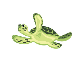 cute turtle icon design white backgroound