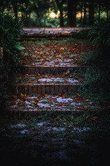Escadas com folhas de outono