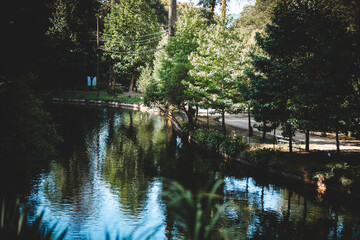 Lago com reflexos