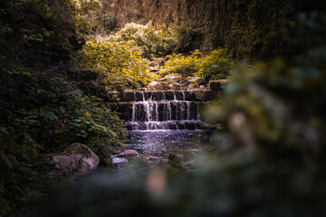 Fototapete bei efototapeten.de bestellen   