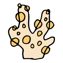 Big yellow coral icon