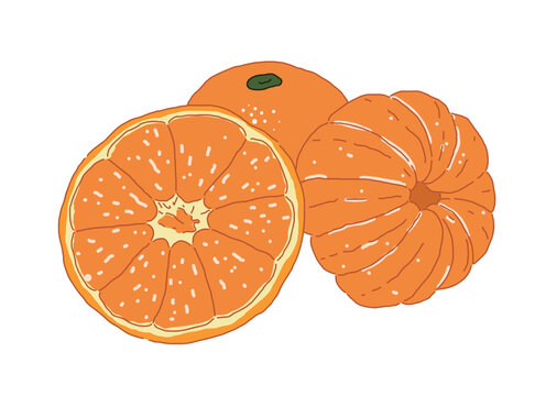 orange fruit, sliced, peeled, whole, on white clip art preview