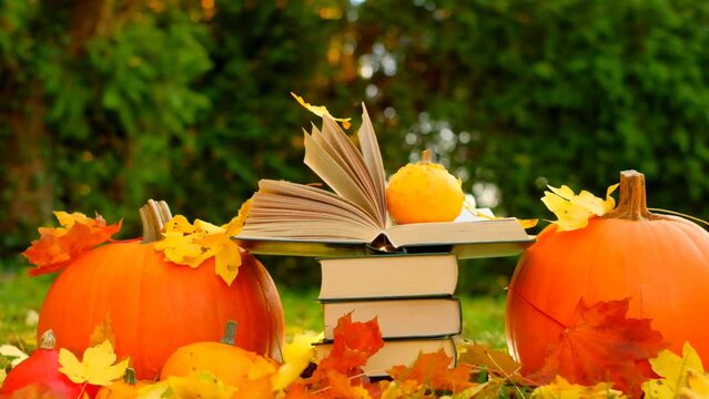 Halloween Books. yellow leaves fall on books.Study and education. stack of books and maple leaves and pumpkins set in autumn garden .Autumn thematic reading. 4k footage