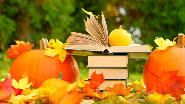 autumn Books.Back to school. stack of books and maple orange leaves and pumpkins set in autumn garden with the rays of the sun.Autumn cozy reading.Start school and college season 