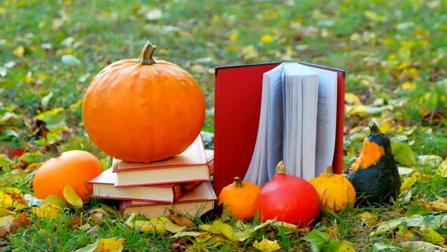 Halloween Books. Autumn thematic reading.yellow leaves fall on books. stack of books and maple orange leaves and pumpkins set in autumn garden. 4k footage