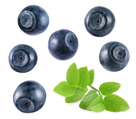 Set with fresh ripe bilberries and green leaves isolated on white