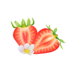 Composition of halves of strawberries on transparent background. Watercolor hand drawn illustration. For advertising, packaging, menus, invitations, business cards, postcards, printing.