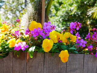 NSW, Wollongong, Botanic Garden
