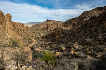 Grapevine Hills Trail Winds Through Canyon