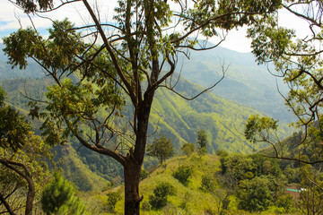 Obraz premium Sri Lanka landscapes nature background. Ella, Sri Lanka, Ella rock
