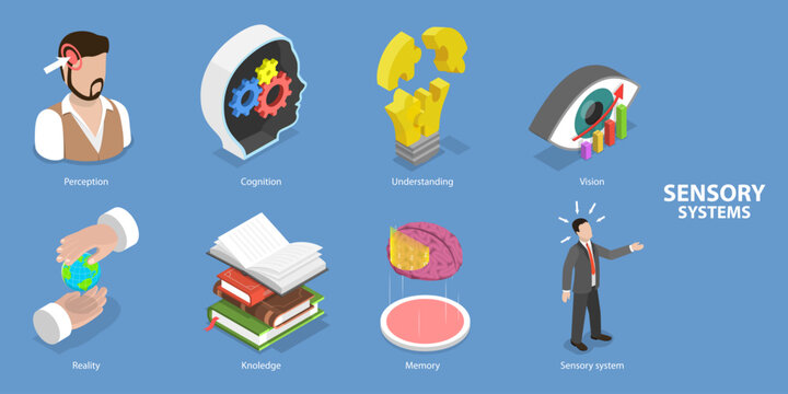 3D Isometric Flat Vector Conceptual Illustration of Sensory System