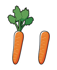 にんじん　イラスト