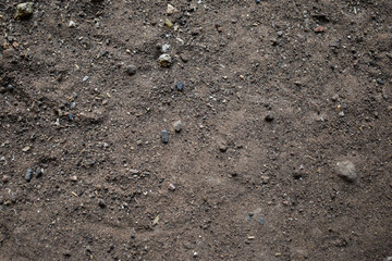 texture background field ground and little rocks
