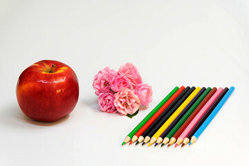 Apple pencils and roses on a white background