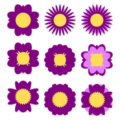 Fototapeta na wymiar purple flowers set