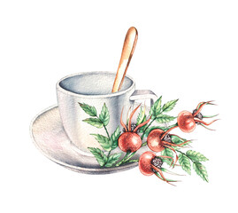 Watercolor tea cup and saucer with rosehip branch