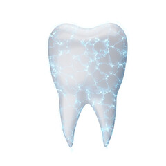 Cold and hot sensitive teeth 3D rendering. 