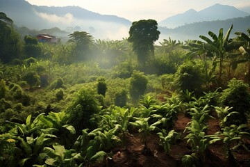 Coffee plantations of South America with a skyline with mountains in the background ,Generative AI