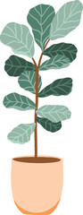 Potted Fiddle Leaf Fig Plant Illustration