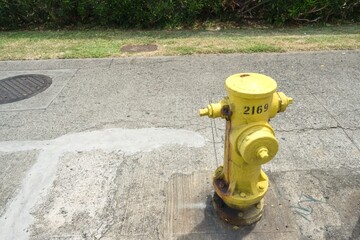 Fototapeta na wymiar ハワイにあった消火栓