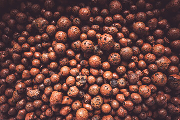 ハイドロボール ハイドロコーン 水耕栽培 ハイドロポニック