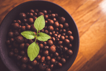 ハイドロボール ハイドロコーン 水耕栽培 ハイドロポニック